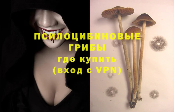 тгк Новодвинск