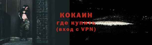 тгк Новодвинск