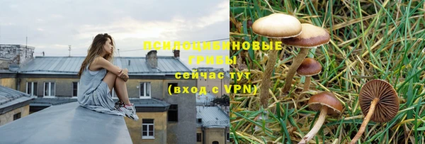 тгк Новодвинск