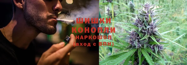 тгк Новодвинск